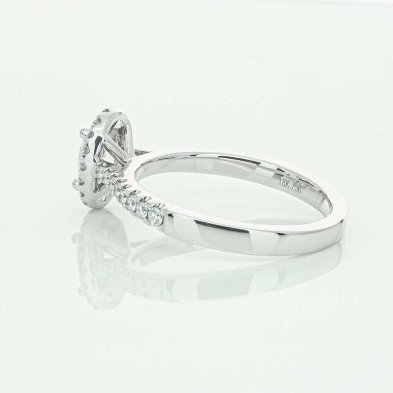 18ct White Gold Oval Cut Diamond Halo Ring-Ring-Walker & Hall