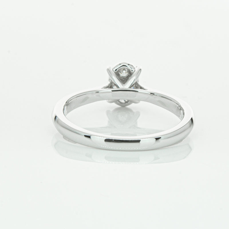 14ct White Gold Diamond Mila Ring-Ring-Walker & Hall