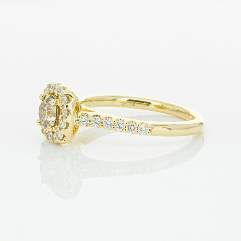 18ct Yellow Gold Champagne Diamond Manhattan Ring-Ring-Walker & Hall