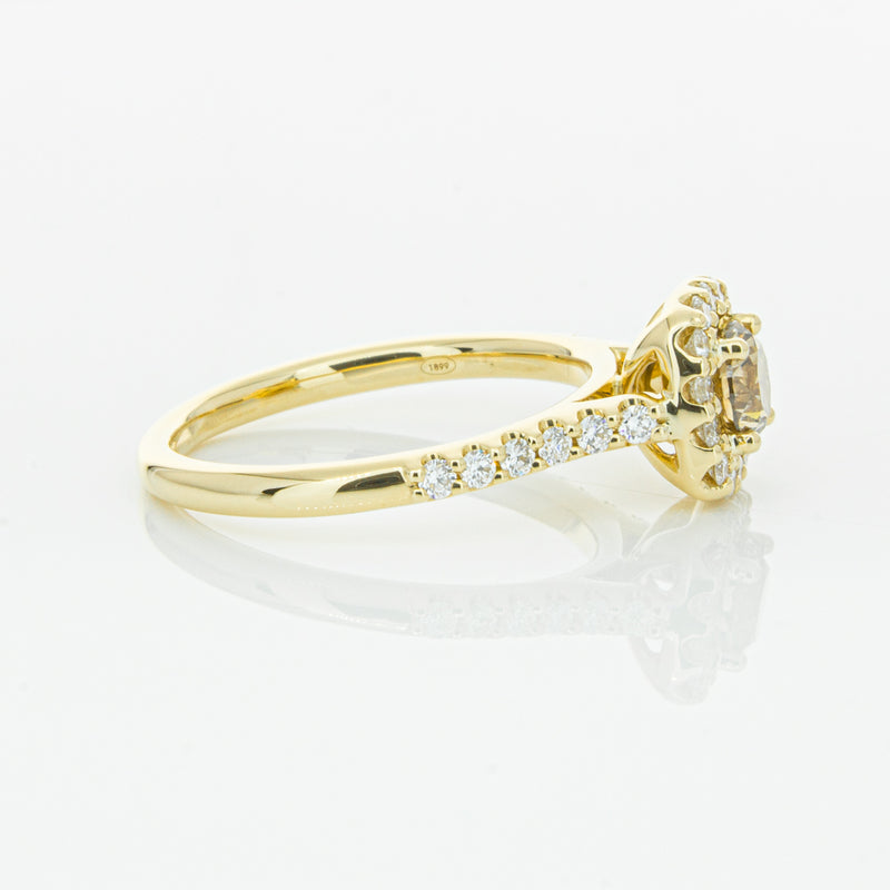 18ct Yellow Gold Champagne Diamond Manhattan Ring-Ring-Walker & Hall