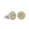 18ct White Gold .45ct Yellow Diamond Earrings - Earrings - Walker & Hall