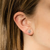 18ct White Gold .62ct Diamond Stud Earrings - Earrings - Walker & Hall