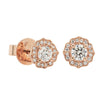 18ct Rose Gold .47ct Diamond Paramount Stud Earrings - Earrings - Walker & Hall