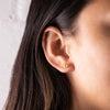 18ct Rose Gold Citrine Octavia Stud Earrings - Walker & Hall