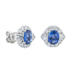 Deja Vu 17ct White Gold 3.60ct Sapphire & Diamond Stud Earrings - Earrings - Walker & Hall