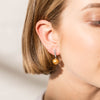 18ct White Gold 9.9mm Golden Pearl & Diamond Earrings - Walker & Hall