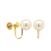 Deja Vu 14ct Yellow Gold Akoya Pearl Earrings - 7.5mm - Earrings - Walker & Hall