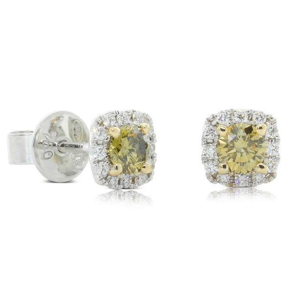 18ct White Gold Yellow Diamond Stud Earrings - Walker & Hall