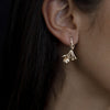 Meadowlark Rose Stud Earrings - Gold Plated - Earrings - Walker & Hall