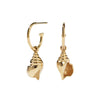 Meadowlark Conch Signature Hoop Earrings - Gold Plated - Earrings - Walker & Hall