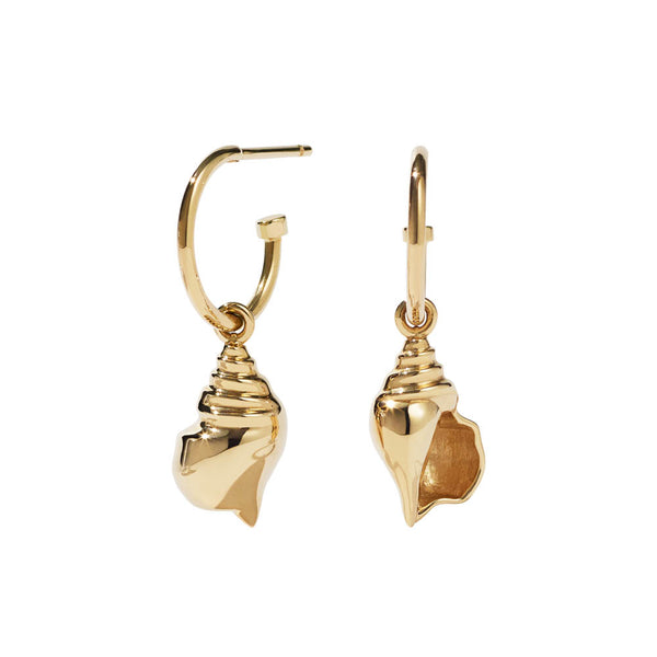 Meadowlark Conch Signature Hoop Earrings - Gold Plated - Earrings - Walker & Hall